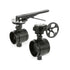 Mechanical Grooved Butterfly Valve | Gear Operator