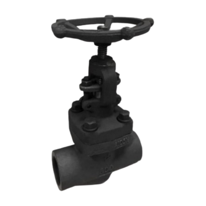 Globe Valve | Forged Steel