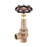 Style 200L | Globe Valve | Lead Free | Brass | Angle