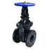 Crane | Gate Valve | Cast Iron 3