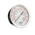 PFP Gauge | 6in Dial | Back Mount
