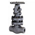 Forged Gate Valve | Full Port | Bolted Bonnet | A105 Body | F6/HF Trim